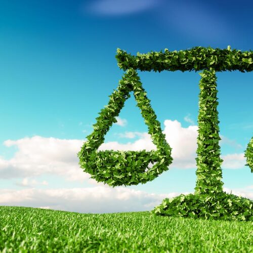 3D render of scales made from plants