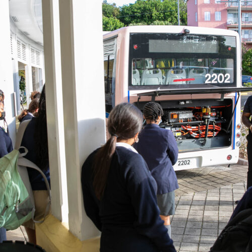 Photo courtesy of the Government of Bermuda