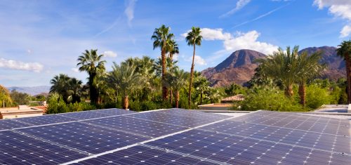 solar panels with tropical forest and trees behind