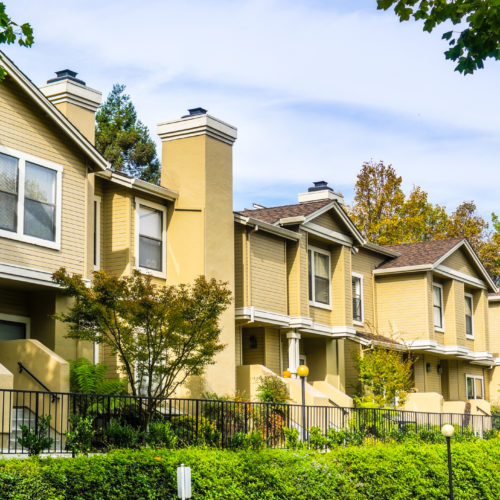 Residential buildings surrounded by trees and hedges