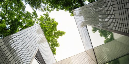 Building perspective view with Nature Plant outdoor Sustainable green concept