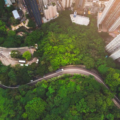 skyscrapers-green-grass-winding-road