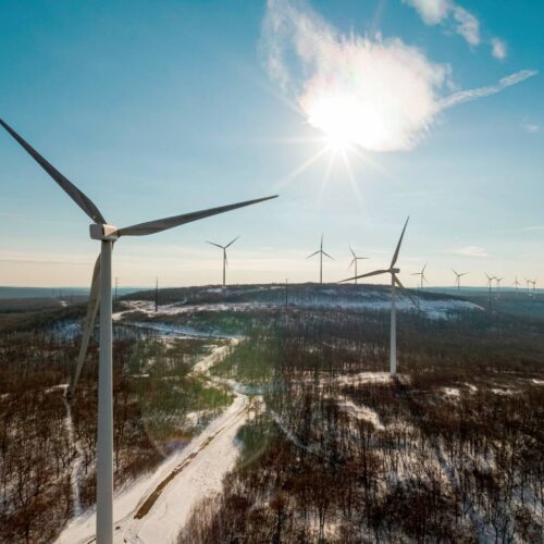 wind turbines in winter field